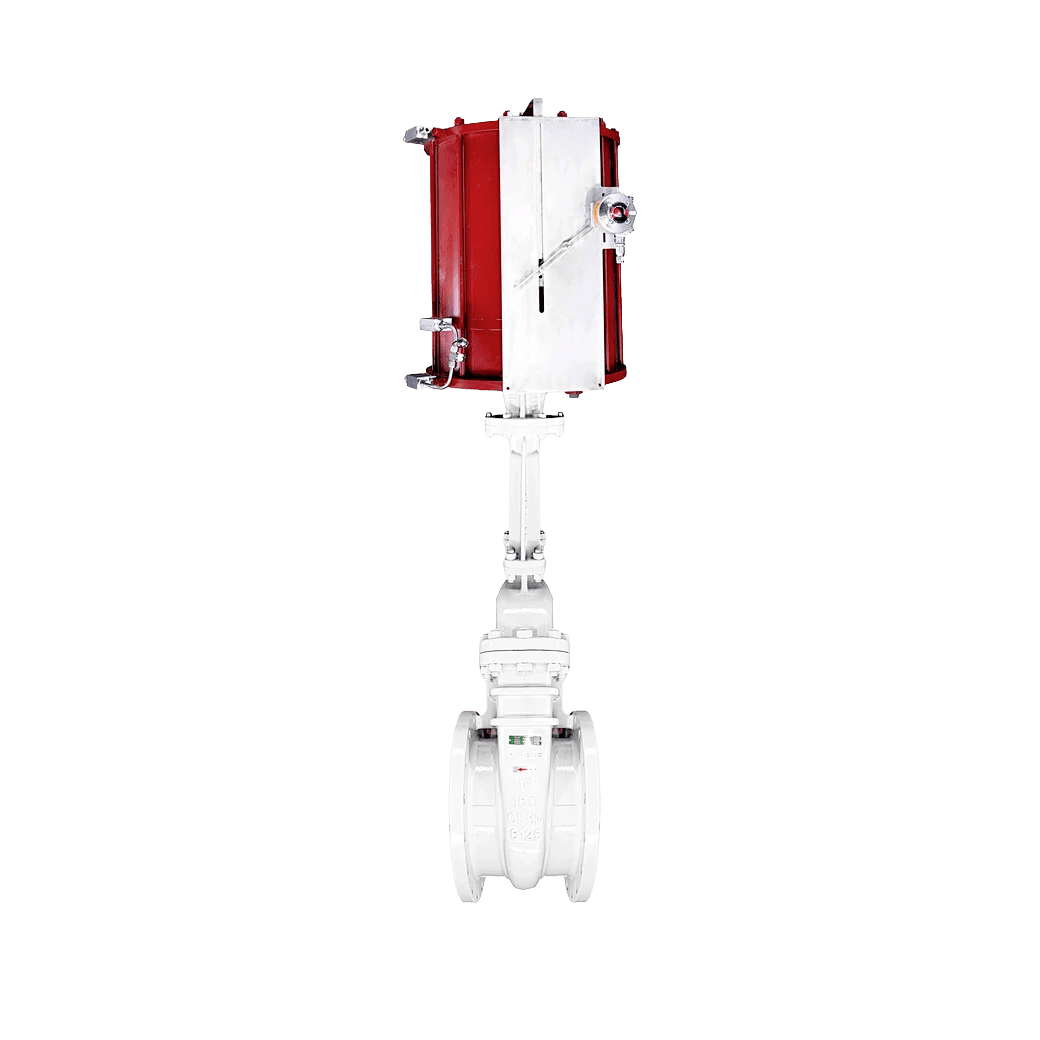 Gate Valve with Pneumatic Actuator