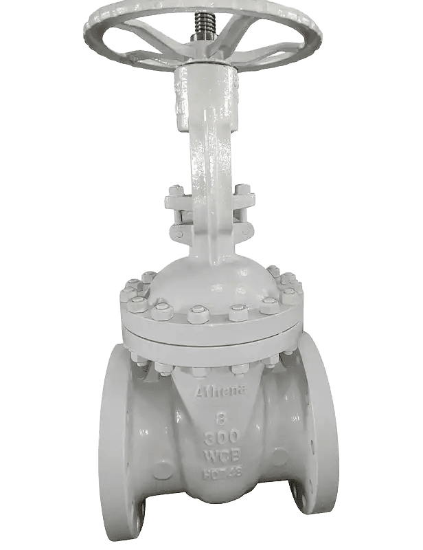 Cast Steel Gate Valve