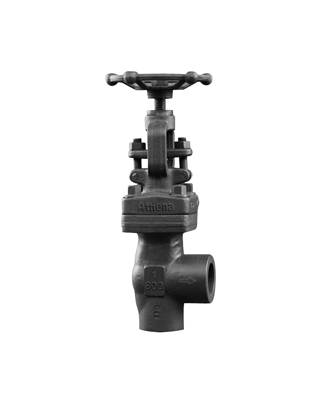 Angle Globe Valve