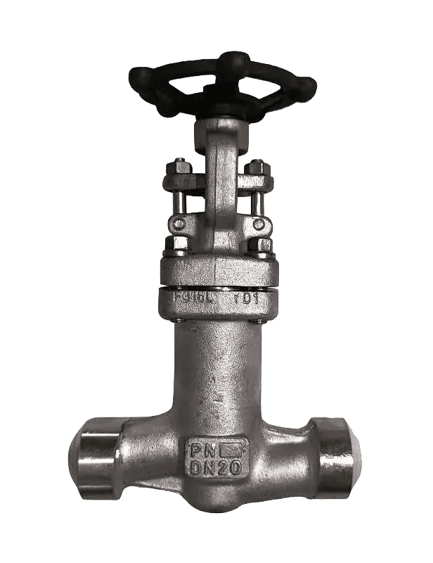 Bellows Sealed Globe Valve