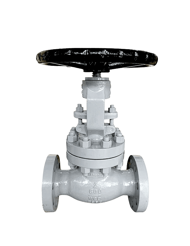 Cast Steel Globe Valve