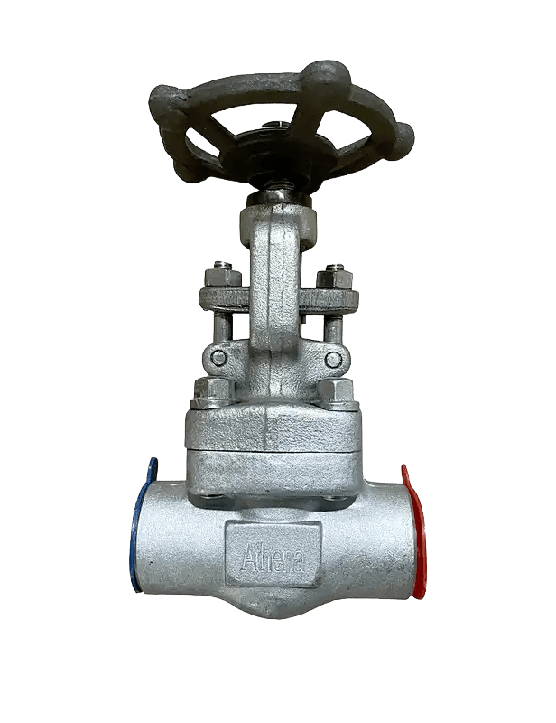 Forged Steel Globe Valve
